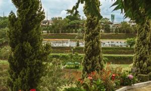 jardinización